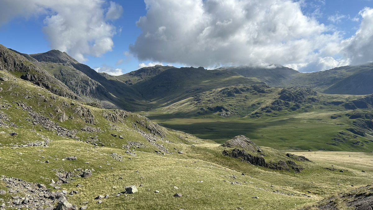 The Great Moss! ⛰😍