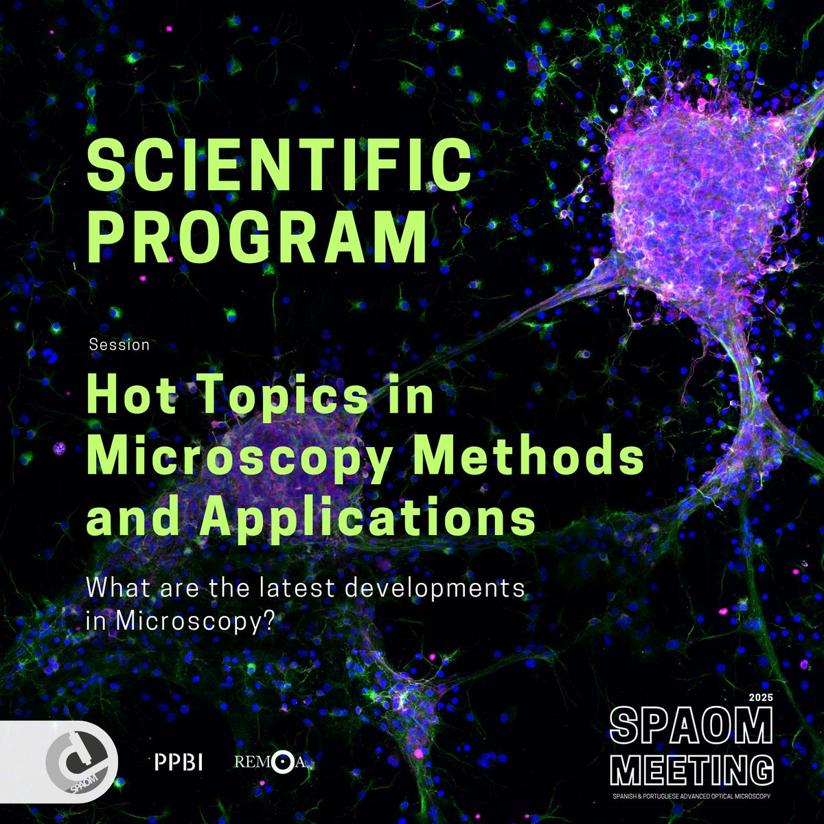 📢 Announcing a new plenary at #SPAOM2025!
🔬 Hot Topics in Microscopy Methods &amp; Applications

Explore the latest in:
✨ Super-resolution
✨ Multimodal imaging
✨ Live-cell microscopy

We're shaping the future of #Microscopy — are you in?
#OpticalImaging #BioImaging #scicomm