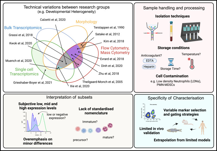 Waggoner Lab (@labwaggoner) on Twitter photo Perspective <a href="/ImmunityCP/">Immunity</a> <a href="/ImmanuelKwok/">Immanuel Kwok</a> <a href="/lai9uan/">Lai Guan NG</a>
From complexity to consensus: A roadmap for neutrophil classification
cell.com/immunity/fullt… Perspective <a href="/ImmunityCP/">Immunity</a> <a href="/ImmanuelKwok/">Immanuel Kwok</a> <a href="/lai9uan/">Lai Guan NG</a>
From complexity to consensus: A roadmap for neutrophil classification
cell.com/immunity/fullt…