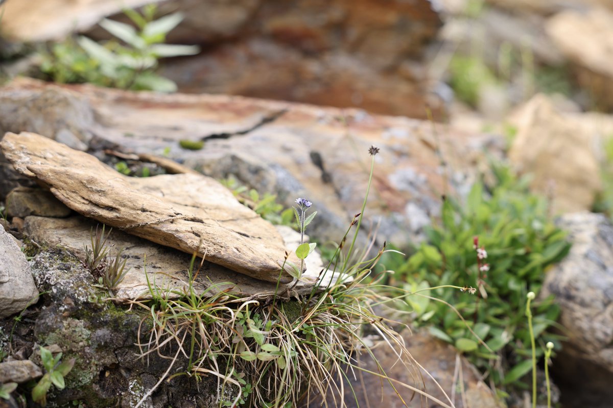 Out in the wilderness of Canada 🇨🇦