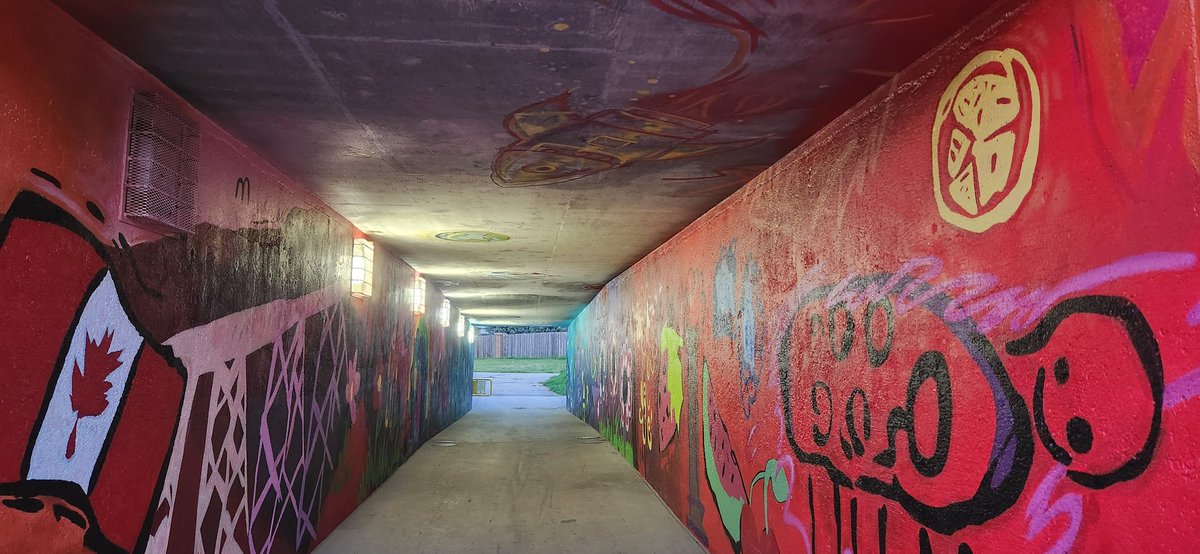 rebdyck's tweet photo. Great artwork in the tunnel at Ridgewood in West Lethbridge 

#yql https://t.co/g4KAuatbMo