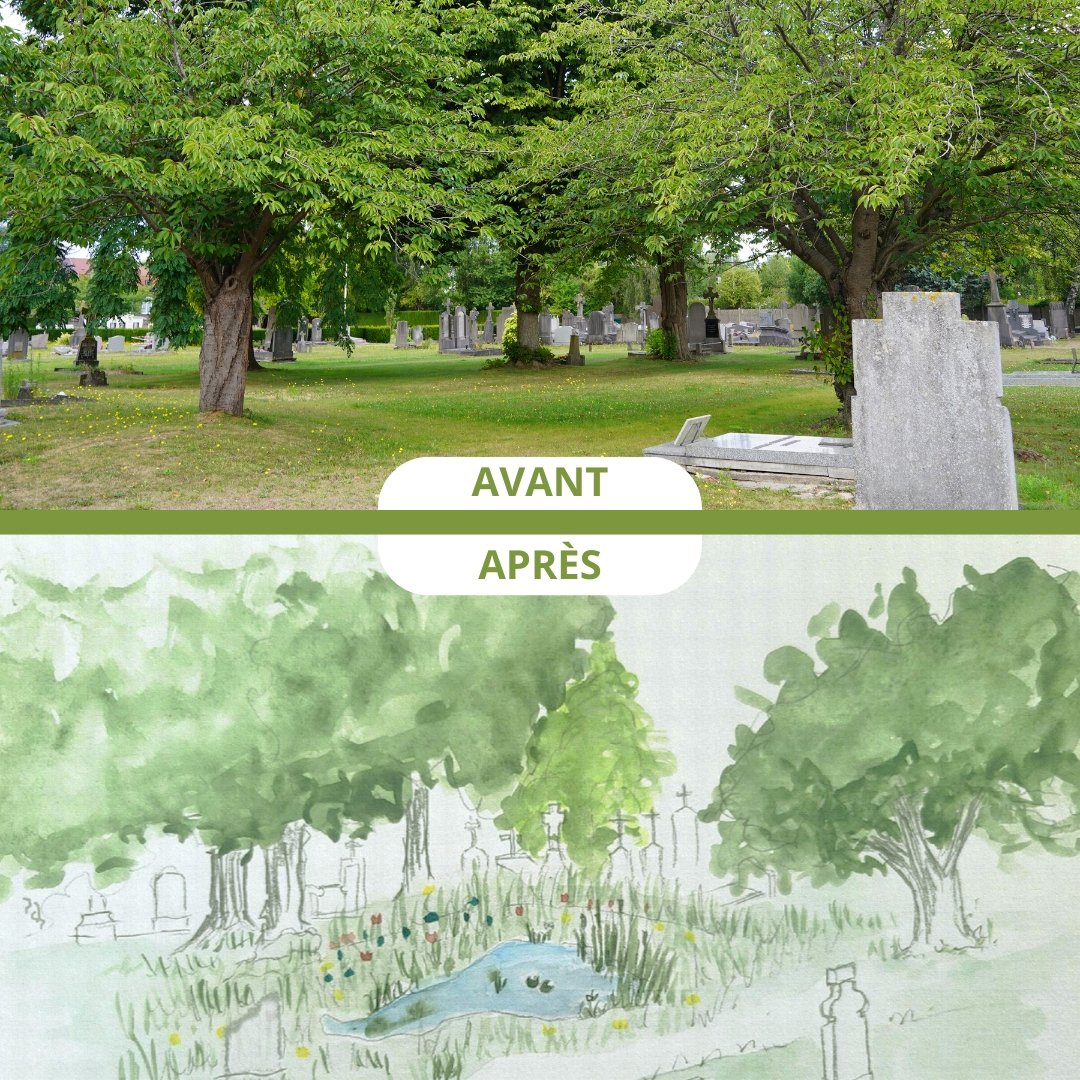 🌿 Dans l'ancien cimetière de La Madeleine, une mare va être créée de fin août à fin septembre avec la MEL pour :
💧Réaliser une zone humide
🌾Aménager un espace paysager
🪷Créer un lieu de détente propice au recueillement
🐞Favoriser la biodiversité et la découverte de la nature