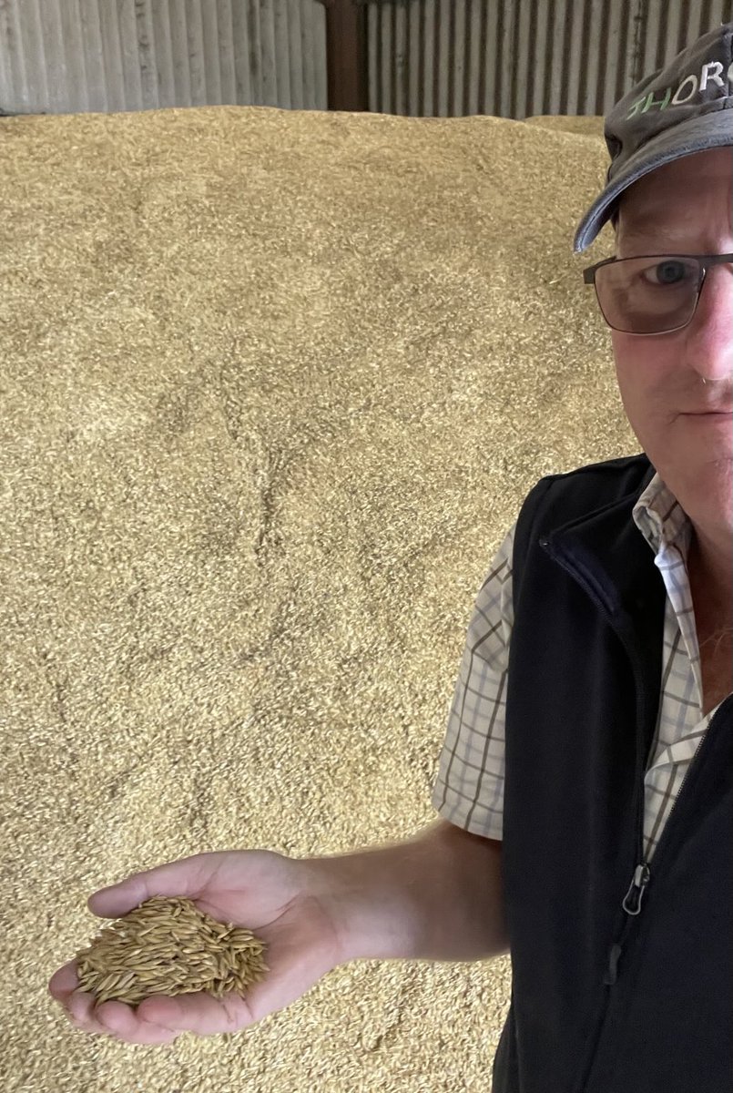 Steve Briggs tweet media