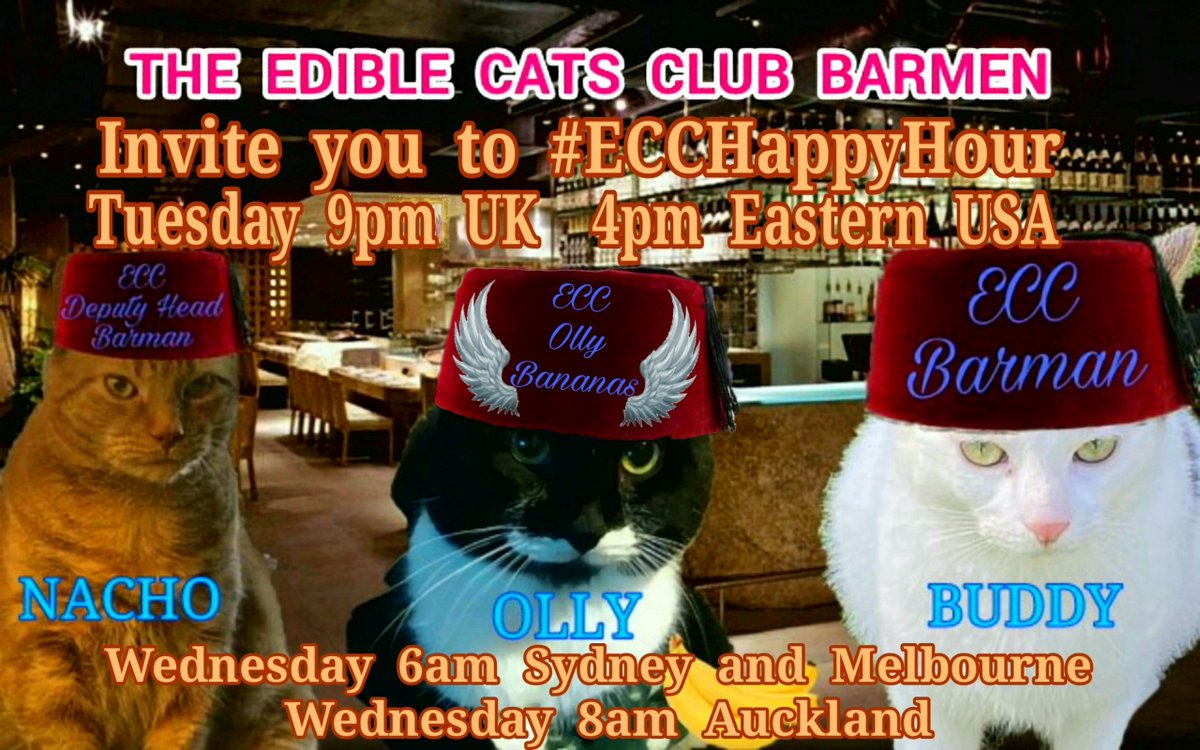 <a href="/Nacho87329549/">Nacho</a> <a href="/Hookumcrew/">Nosy & Parker and Ted. 🌈 members Lara and Mitten</a> <a href="/Aardvarkface/">Hot Ginger Mess</a> <a href="/BuddyakaBuddyB1/">Buddy Boo ❤️ Olly forever</a> <a href="/georgiarealist/">Susan Burge and Puddin 🦥</a> <a href="/MariaPulk/">🌈Coop, 🌈Willow, Smokey & Mummy Maria 💔Squirt</a> <a href="/Helensthoughts1/">LokiLollipop&TakiniTaco</a> <a href="/ChrisGo43167730/">Chris and Buffy</a> <a href="/BrambleRamble4/">Bramble, Mum &🌈Angel Tommy</a> <a href="/pvisnesky/">Francis Albert 💔Athena🌈🕊️</a> <a href="/Eliot01375004/">Eliot, big brofur of Atwood & Borys 🇦🇺 🇺🇦</a> <a href="/psiangelic/">Louis, 🌈 Heath & Mommy 💞</a> <a href="/TJS12145/">TJS</a> <a href="/ToursMum/">Charlie & Mum</a> <a href="/Merlin80643296/">Merlin🌈&Freyja & Sylvester & Puck</a> <a href="/HibiscusLynn/">Hekili&Ranger & Lynn Riemer. 💙💛💙💛</a> <a href="/cory20191/">Olive&Greta&Cory</a> <a href="/jerry_tuxedo/">Angel 🌈 Captain Jerry - RIP 1.8.2013-17.6.2025</a> <a href="/tiggy_catt247/">Junior Jam Roly Poly</a> <a href="/MatthewSummors/">Alfie the Cat</a> <a href="/philduthie/">philduthie🌈⚽️🇺🇦🏴󠁧󠁢󠁳󠁣󠁴󠁿🏳️‍🌈</a> <a href="/JesseJames0216/">Jesse James 💜’s Olly Forever</a> <a href="/CynthiaRelihan/">Bella🌈Lily, and Poppy. #kindnessmatters #bekind</a> <a href="/bar25910920/">Ben🐈Honey🐈Lily✨🌈🐈</a> <a href="/Obe_QT_Luke/">😇Obe🐹 😇QT🐹 HANBOOP!😇🐹🐾</a> <a href="/Mimi/">Mimi</a> <a href="/SpooksTheMagni1/">Autumnal Spooky The Magnificent</a> <a href="/TomKattman/">Tom Kattman</a> <a href="/therealnsm0220/">im the real Nick</a> <a href="/Ben_da_Bestie/">Ben</a> <a href="/jjmacgregor1/">Julia & Freya 🌈,Harry 🐈‍⬛, Bill 🐈 & Denise 🐈‍⬛</a> <a href="/badhenry070119/">Hamburger Henry and Lasagna Lucy</a> <a href="/DurranSean/">Sean Durran & Freddie 😺🐾🐾</a> <a href="/Gina_Moona/">Gina & Moona</a> <a href="/sparkiebabe/">Paco and 🌈other family MIA or OTRB🌈,</a> <a href="/denvor18/">Dionysia Voridi 👠,Nikkei &Ortipo</a> <a href="/parsleysmum/">Ollie the Pappy & Cleo Kitty</a> <a href="/EdibleCatsClub/">EdibleCatsClub</a> <a href="/AviwhiteGSD/">Angel Avi🌈😇❤️</a> <a href="/MurphyTCat/">Angel Murphy & Angel 😇 Boo 🌈 🌉</a> Join Olly, Nacho and Buddy in The Edible Cats Club bar for another #ECCHappyHour 

Tuesday 
9pm UK
4pm Eastern USA

Wednesday 
6am Sydney and Melbourne 
8am Auckland

We'll have drinks, food, fun and friendship. 
Everyone is welcome.

🥰🥰🥰🥰🥰🥰🥰🥰🥰🥰🥰🥰