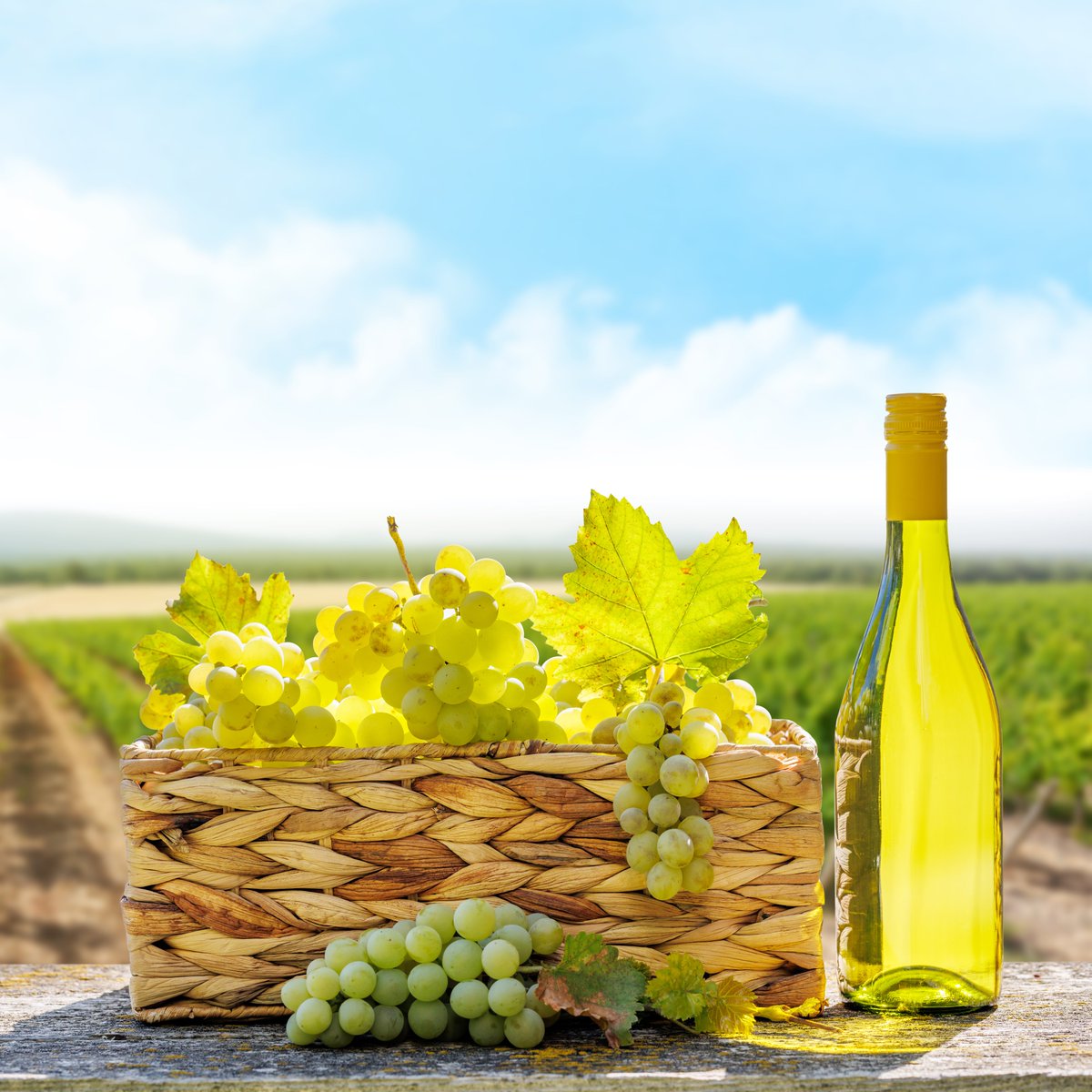 The Aironic Observer tweet media