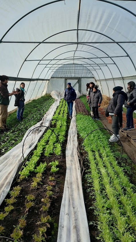 InvAtl_UNRN's tweet photo. La becaria @darancios  participó,  en el marco del PI “Economic performance of agroecological market gardening in Argentina and contributions to food security”, de la capacitación en torno a la producción agroecológica, formas de organización y comercialización.
@CEANPa_UNRN https://t.co/QKZeVh9Jir