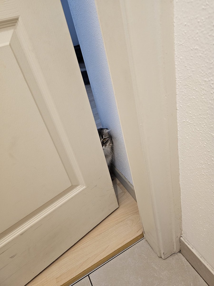 Oui je n'ai pas disparu dans les toilettes ne tkt pas