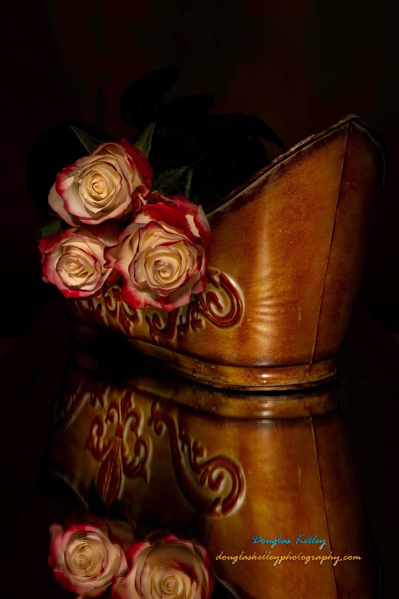 Douglas Kelley (@lisunchaser) on Twitter photo Roses old fashion photo <a href="/DPhotographer/">Digital Photographer Magazine</a> <a href="/ThePhotoHour/">#ThePhotoHour</a> <a href="/bhphoto/">B&H Photo Video</a> <a href="/CanonUSAimaging/">Canon USA Corp.</a> Roses old fashion photo <a href="/DPhotographer/">Digital Photographer Magazine</a> <a href="/ThePhotoHour/">#ThePhotoHour</a> <a href="/bhphoto/">B&H Photo Video</a> <a href="/CanonUSAimaging/">Canon USA Corp.</a>