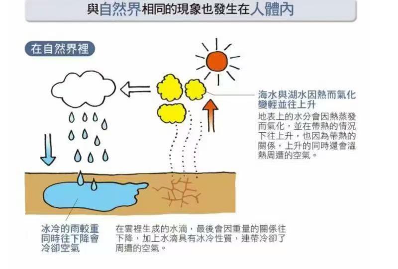 spa139139's tweet photo. 🌞道法自然、随遇而安 https://t.co/XSFldGbTd0