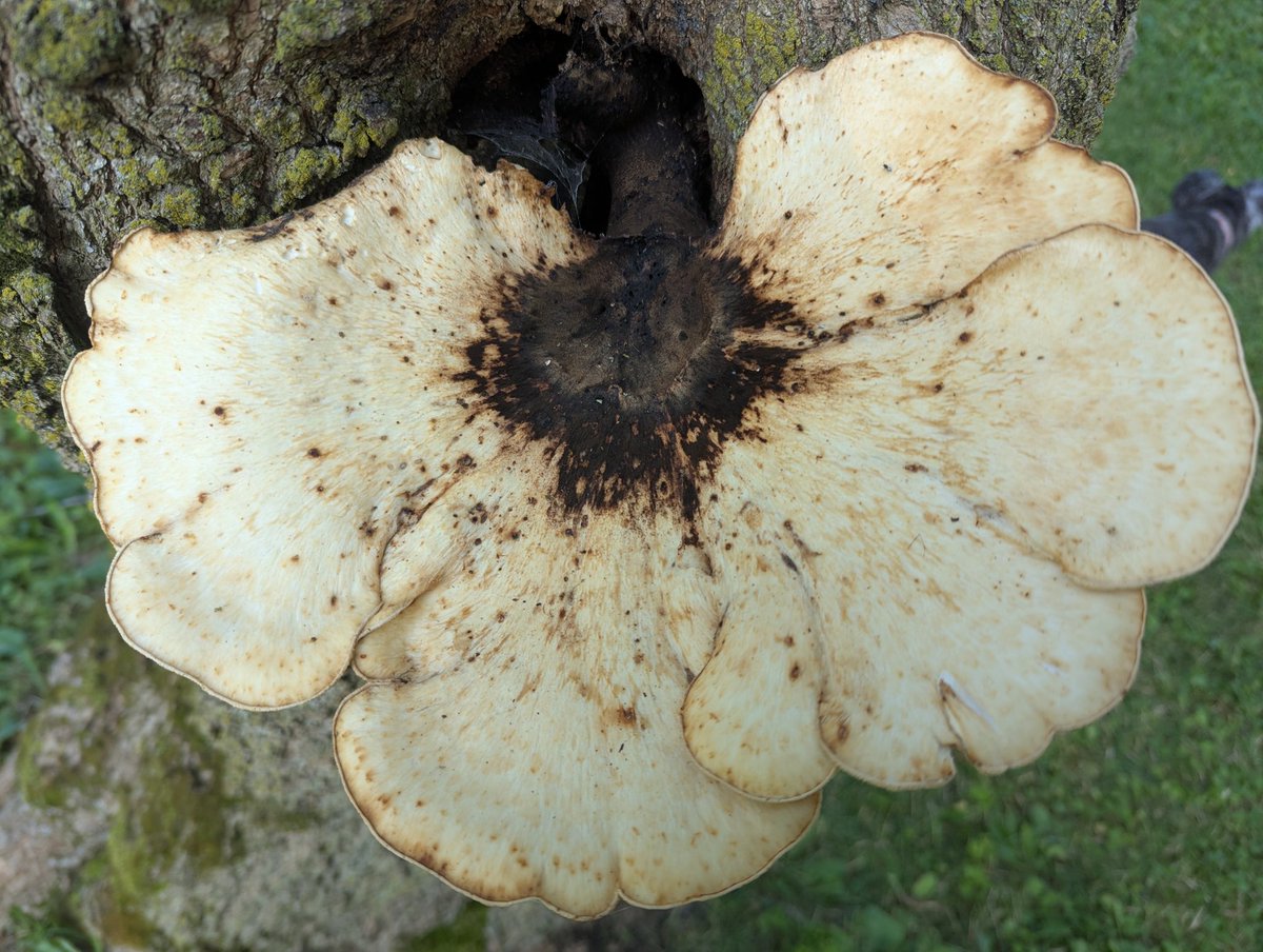 Going outside in nature is the cure.