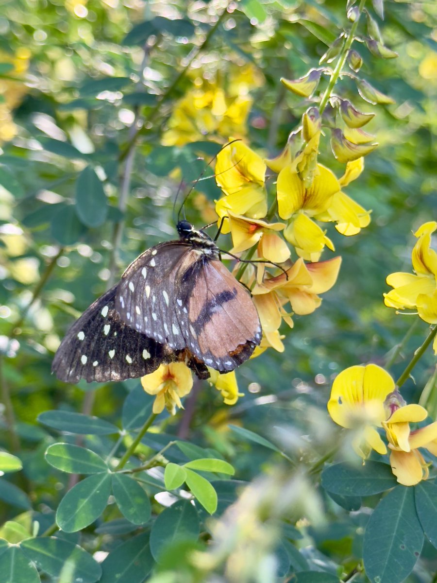 Días bonitos 💐💛