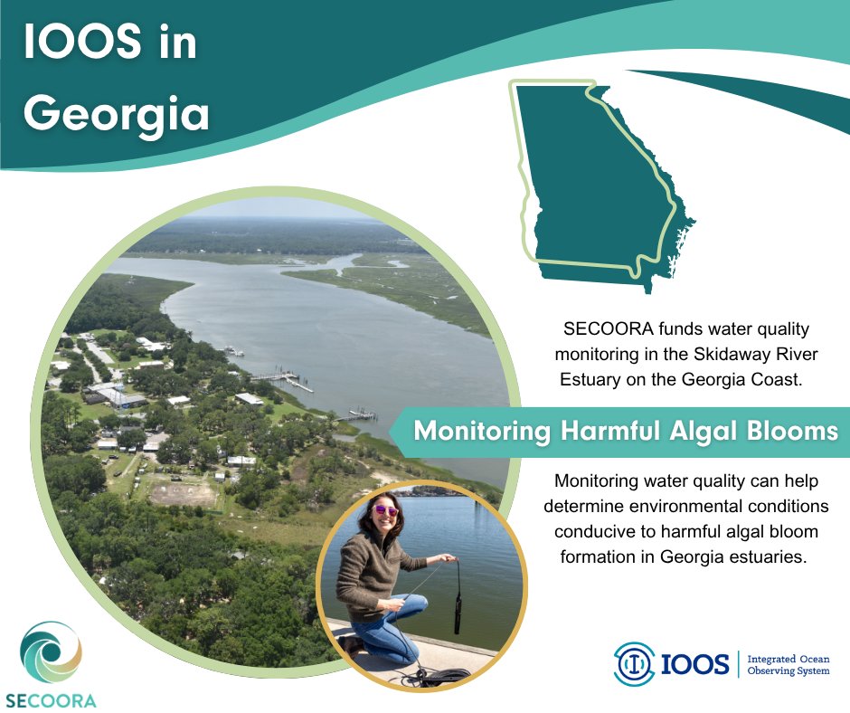 SECOORA (@secoora) on Twitter photo Through cutting-edge ocean observing systems and strategic partnerships, SECOORA and IOOS equip Georgia communities with the information they need to plan for hazards, protect lives, and foster coastal prosperity.
#IOOS #OceanData
<a href="/IOOSAssociation/">IOOS Association</a> <a href="/usioosgov/">U.S. IOOS Office</a> Through cutting-edge ocean observing systems and strategic partnerships, SECOORA and IOOS equip Georgia communities with the information they need to plan for hazards, protect lives, and foster coastal prosperity.
#IOOS #OceanData
<a href="/IOOSAssociation/">IOOS Association</a> <a href="/usioosgov/">U.S. IOOS Office</a>