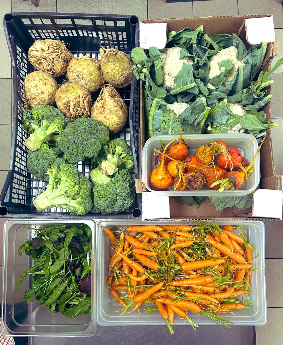 Some of what we are doing this week. 

Thelemontreerestaurant.com