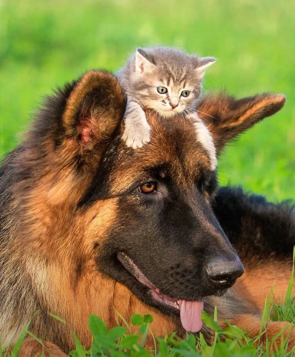 İyi akşamlar diliyorum ☕🫶🌺🌹🌹🌸💐💐☕☕☕☕☕☕☕☕☕☕☕
Gününüz nasıl geçti ?!?