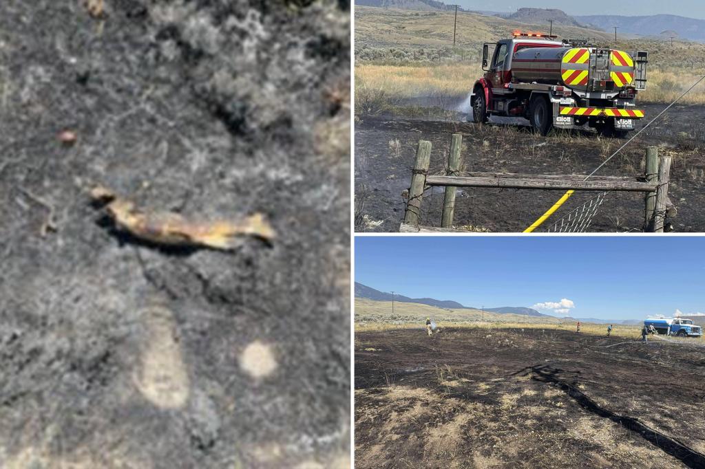 Fish suspected of sparking blaze that knocked out power to 1,500 people trib.al/UgLhpGL