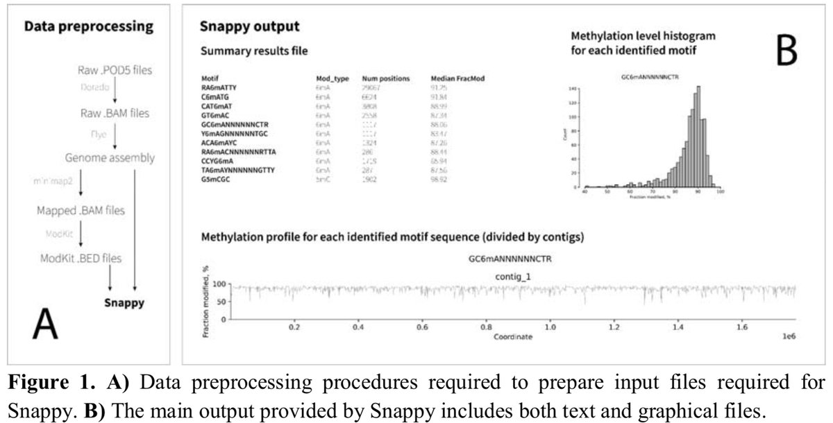 Snappy: de novo identification of DNA methylation sites based on Oxford Nanopore reads biorxiv.org/content/10.110…