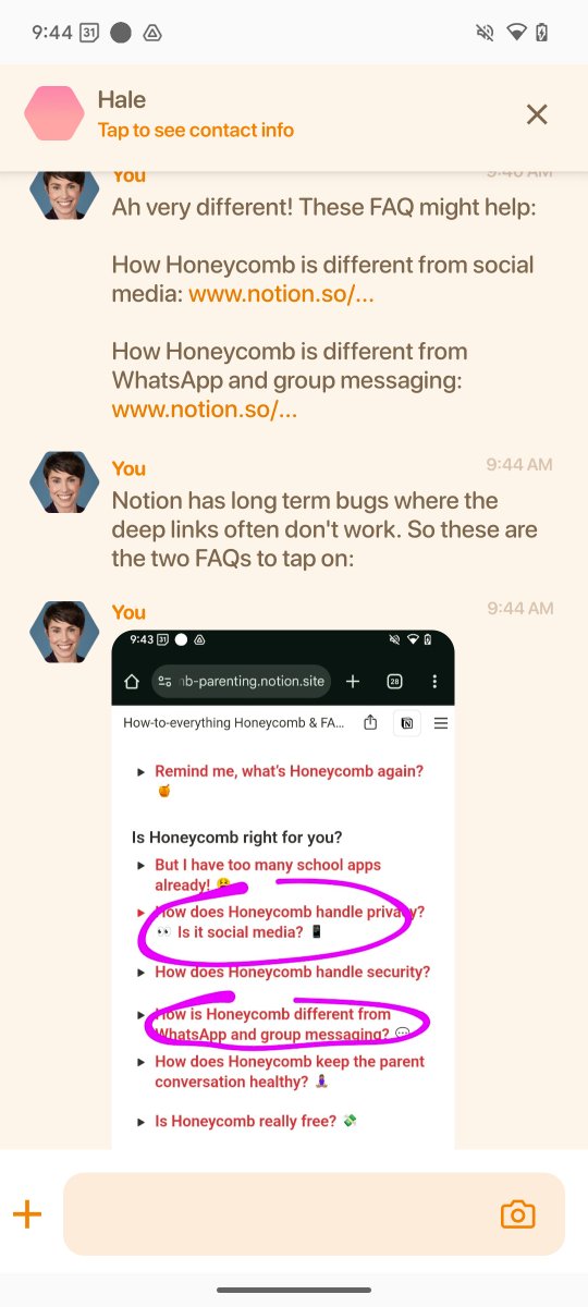 Chloe Sladden tweet media