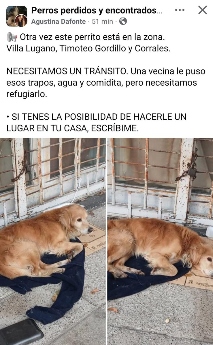 Laly 🇦🇷 (@lalysole) on Twitter photo 