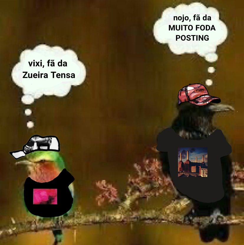 zueira tensa (@zueiratensa) on Twitter photo 