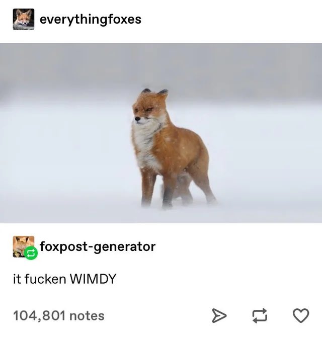 it fucken WIMDY