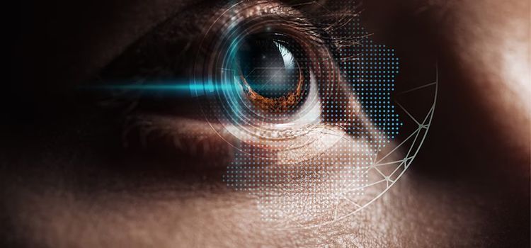 'Hollow Knight: Silksong' will utilize persistence of vision to create the illusion of motion.

This will be done by rendering multiple still images, known as "frames," in rapid succession.