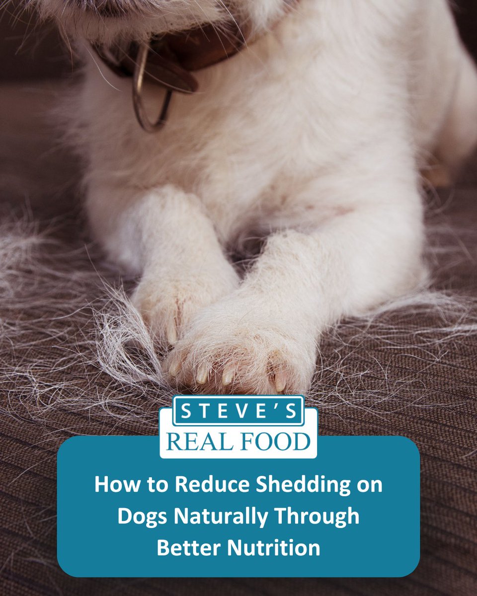 Instead of endlessly lint-rolling or vacuuming, start by looking at what’s fueling your pup from the inside out!

Read all the details by clicking the link below:
bit.ly/4fp1izW