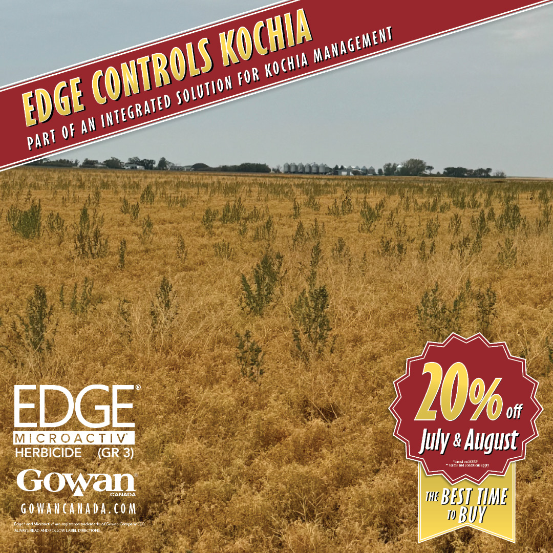 Kochia won’t wait, and neither should you! 
Scout now and plan with Edge® MicroActiv® for fall-applied, early-season control. 
.
Proven against kochia and other tough broadleafs.
✔️ Stops weeds before they start
✔️ MicroActiv granules = smooth handling

This August is also THE