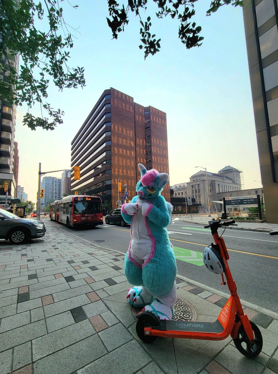 Had so much fun at <a href="/canFURence/">CanFURence: Furries of the Wastes</a> this year! Was wonderful seeing friends again and getting to suit alot  🩵🩷🩵🩷 Can't wait until next year!