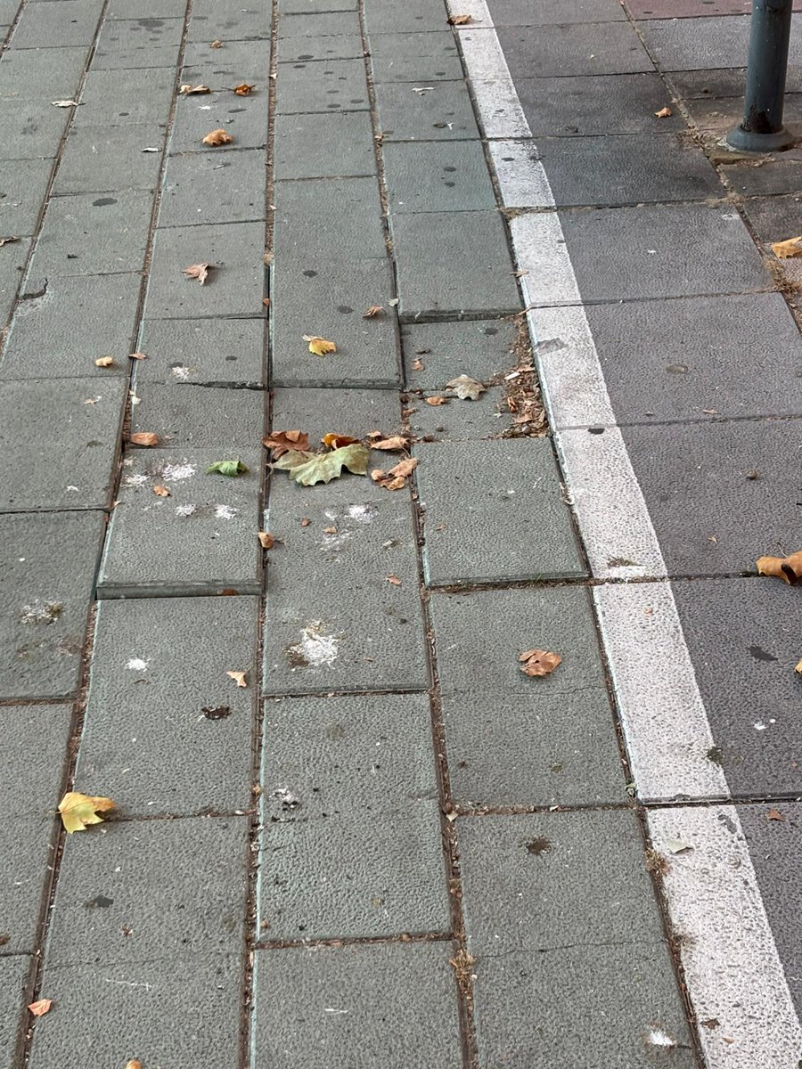 Carril bici del Paseo de Zorrilla.
Menos mal que cuando se soterren las vías y la estación del tren quedará automáticamente arreglado, como todo lo demás.