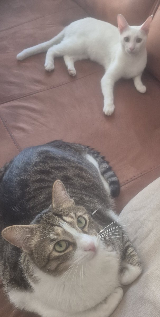 durdüşünüyorum (@beruk33) on Twitter photo 