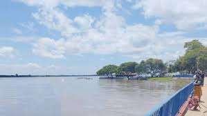 Servicio de Información Pública tweet media