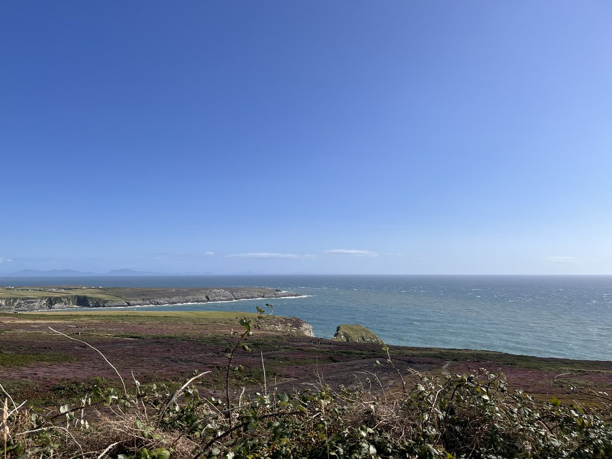 yoshaza's tweet photo. The favourite #southstacklighthouse #holyhead #anglesey https://t.co/e7EMteGeGJ
