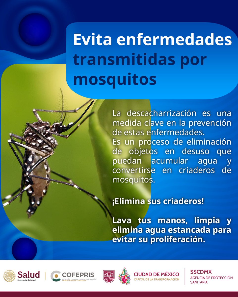AGEPSA CDMX (@agsanitaria) on Twitter photo Evita los criaderos de #mosquitos esta temporada de #lluvias.🦟
Voltea cubetas, botellas y macetas sin uso para evitar que quede agua estancada.
También lava y tapa tinacos y cisteras cada 3 días.
La <a href="/SSaludCdMx/">Secretaría de Salud de la Ciudad de México</a> y #AGEPSA, te apoyan. 💧 #PrevenciónSanitaria #SaludCDMX Evita los criaderos de #mosquitos esta temporada de #lluvias.🦟
Voltea cubetas, botellas y macetas sin uso para evitar que quede agua estancada.
También lava y tapa tinacos y cisteras cada 3 días.
La <a href="/SSaludCdMx/">Secretaría de Salud de la Ciudad de México</a> y #AGEPSA, te apoyan. 💧 #PrevenciónSanitaria #SaludCDMX
