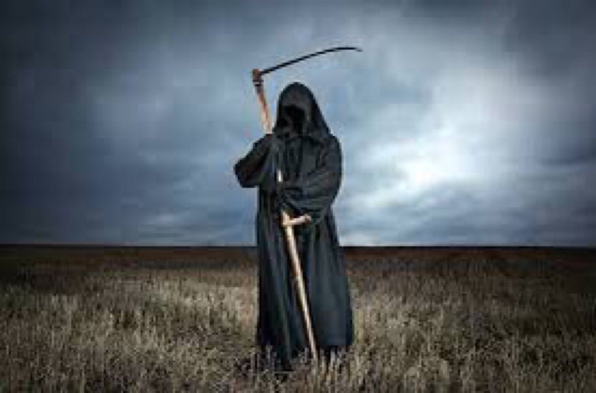 😂Gelip götürmüyor Buda AKPli🤣🤣