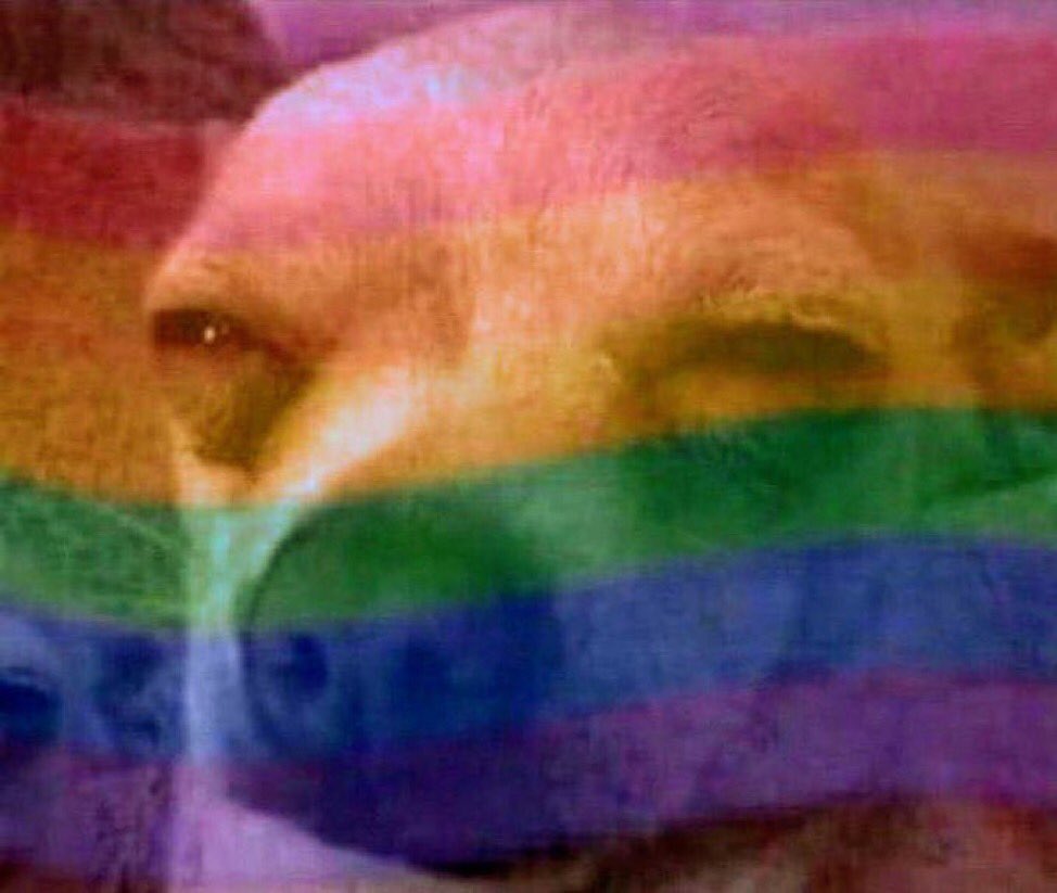 Men who have never used a gun 😏