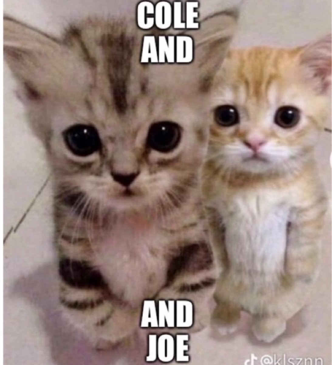 User1165634's tweet image. 