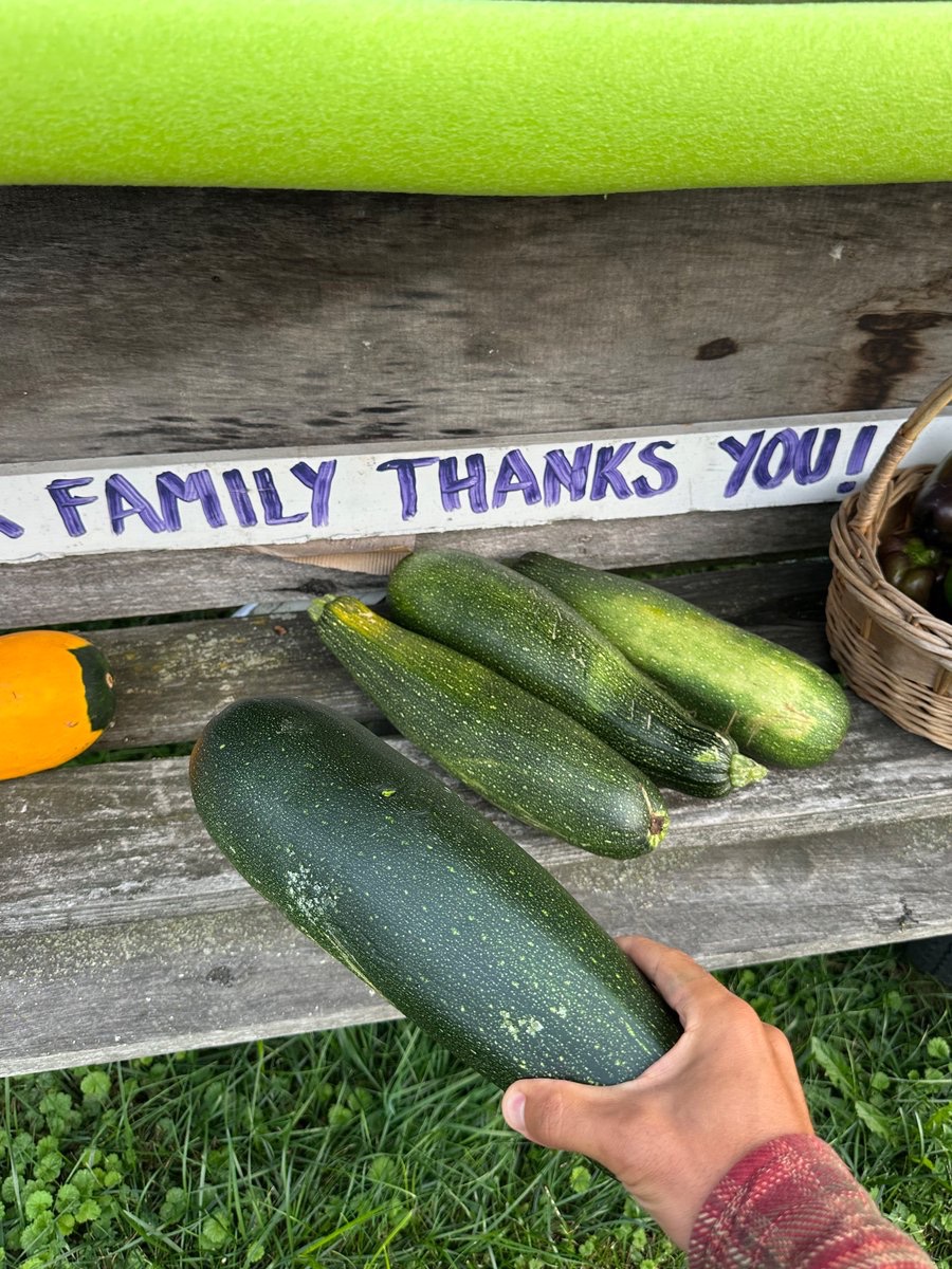 Friendly reminder to be a Good Samaritan and support small farmers