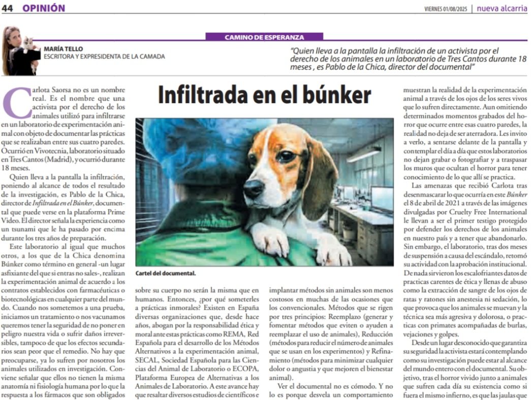 Mi artículo de oponión de este mes en <a href="/NuevaAlcarria/">Nueva Alcarria</a>. Un documental importante para aquellos animales que sufren tan innecesaria crueldad en laboratorios.

nuevaalcarria.com/articulos/infi…