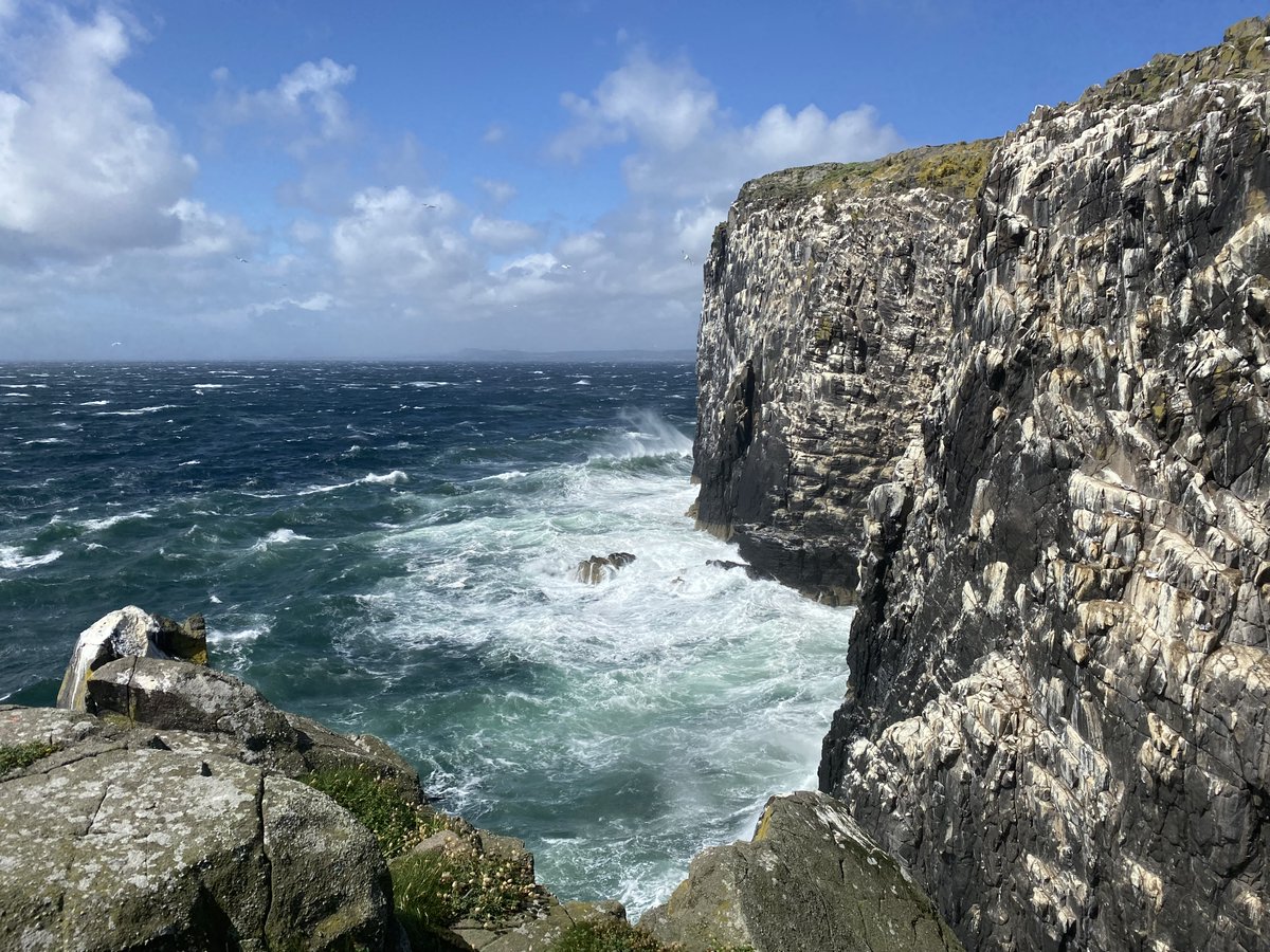 Storm Floris hit the Isle of May today, our first noteworthy storm this autumn: isleofmaynnr.wordpress.com