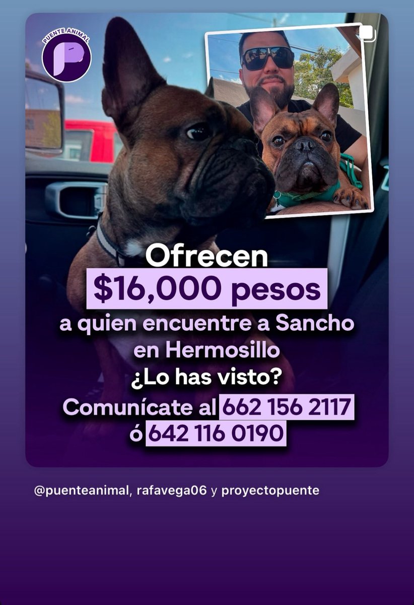 OGlezM's tweet image. DE SU AYUDA !! 🙏