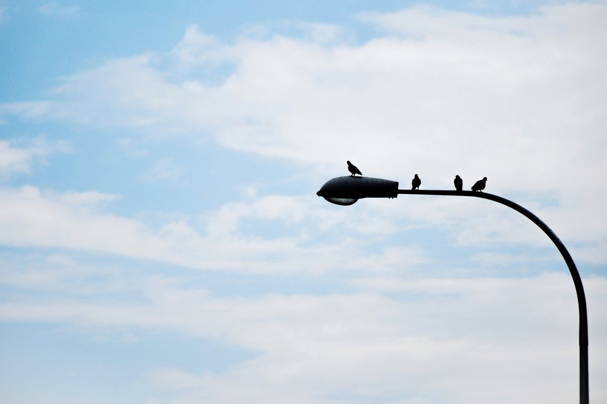 Proper lighting in areas of pedestrian crossings have been found to reduce nighttime pedestrian crashes by up to 42%. Recently, improvements were made at Albany Ave near Mohegan Drive, Farmington Avenue between Trout Brook Drive and Whiting Lane and Oakwood Avenue.