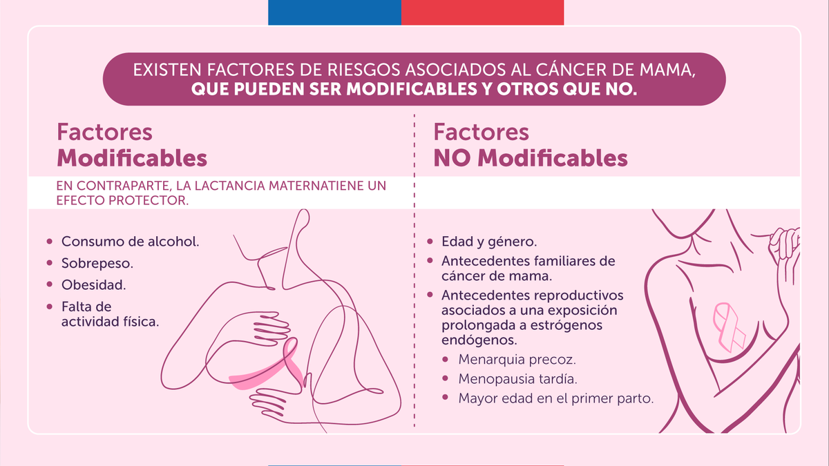 El cáncer de mama es el tipo de cáncer más frecuente en mujeres y su principal causa de muerte. 
👉🏼#HazteLaMamografía cada 2 años. Sobre todo si tienes entre 50 a 69 años y si tienes antecedentes de cáncer de mama.
👉🏼También un autoexamen