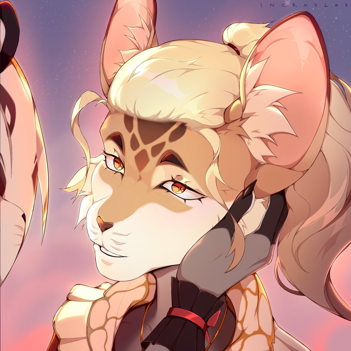 Commission | Icon
