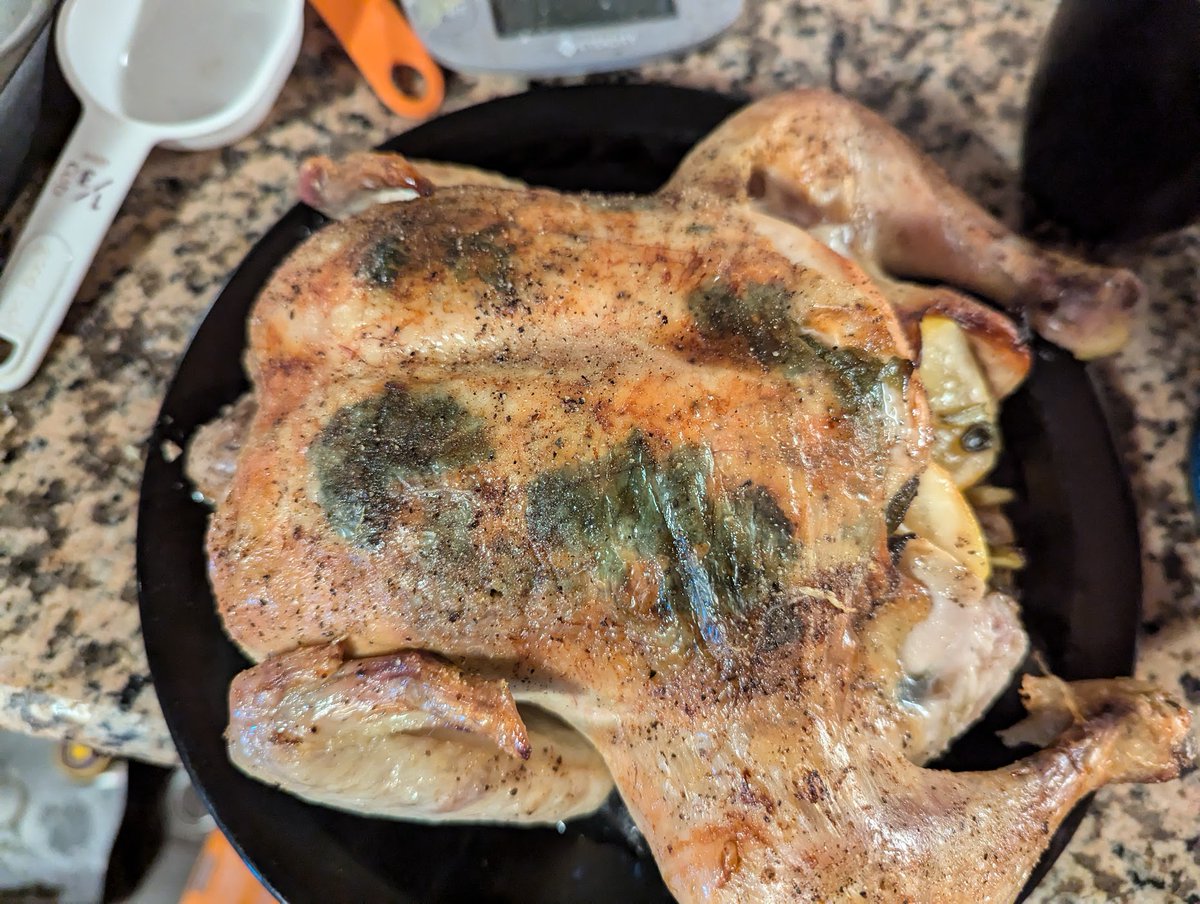 I roasted a chicken for the first time in years. The green stuff are herbs I stuffed under the skin, not mold!