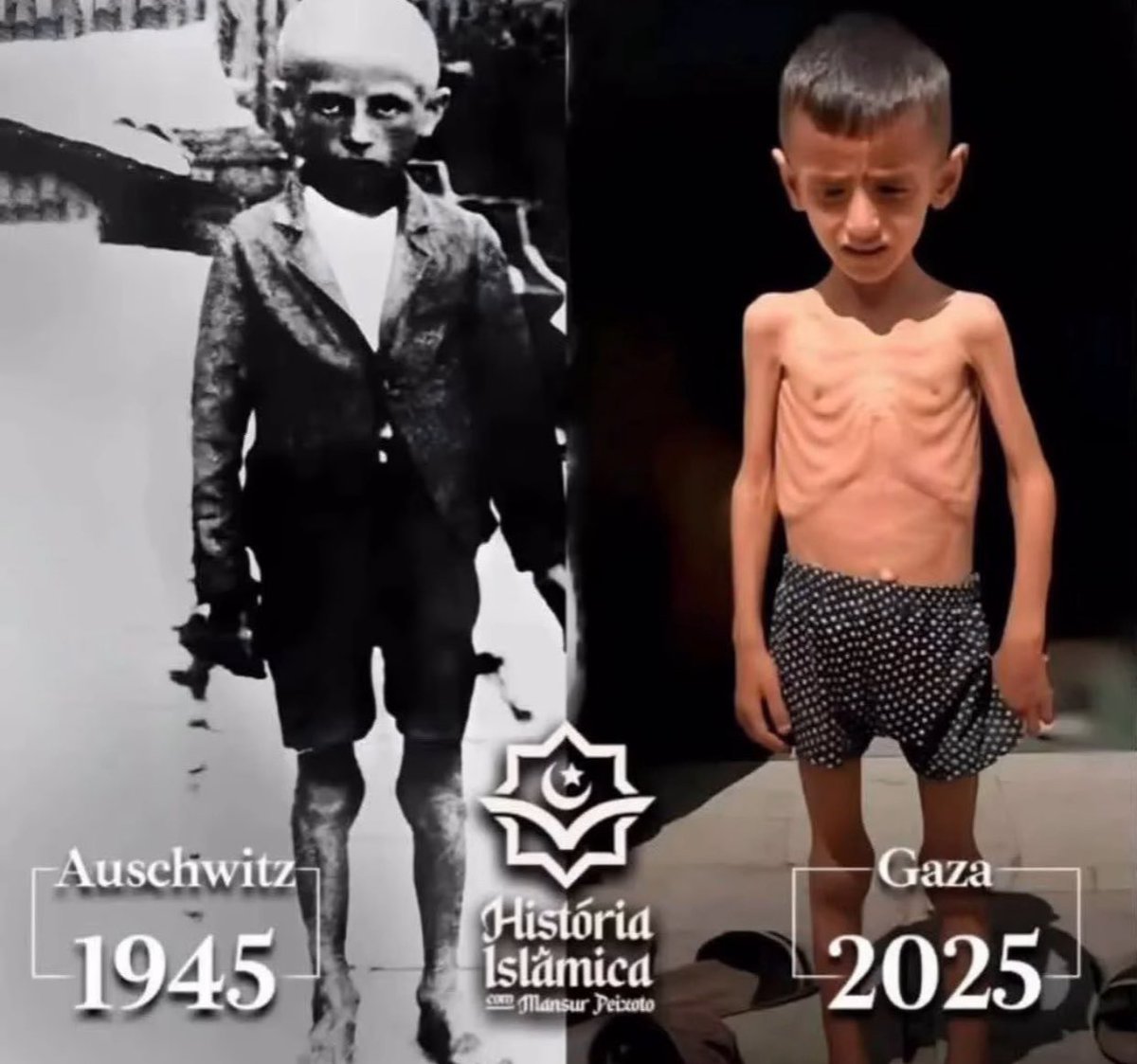 Mrs Kensington (@londonlife44) on Twitter photo <a href="/mikepompeo/">Mike Pompeo</a> Who is starving Gaza? Can you remember who is responsible for the barbaric medieval siege?
Who broke the ceasefire that would have seen all the hostages home by now? <a href="/mikepompeo/">Mike Pompeo</a> Who is starving Gaza? Can you remember who is responsible for the barbaric medieval siege?
Who broke the ceasefire that would have seen all the hostages home by now?