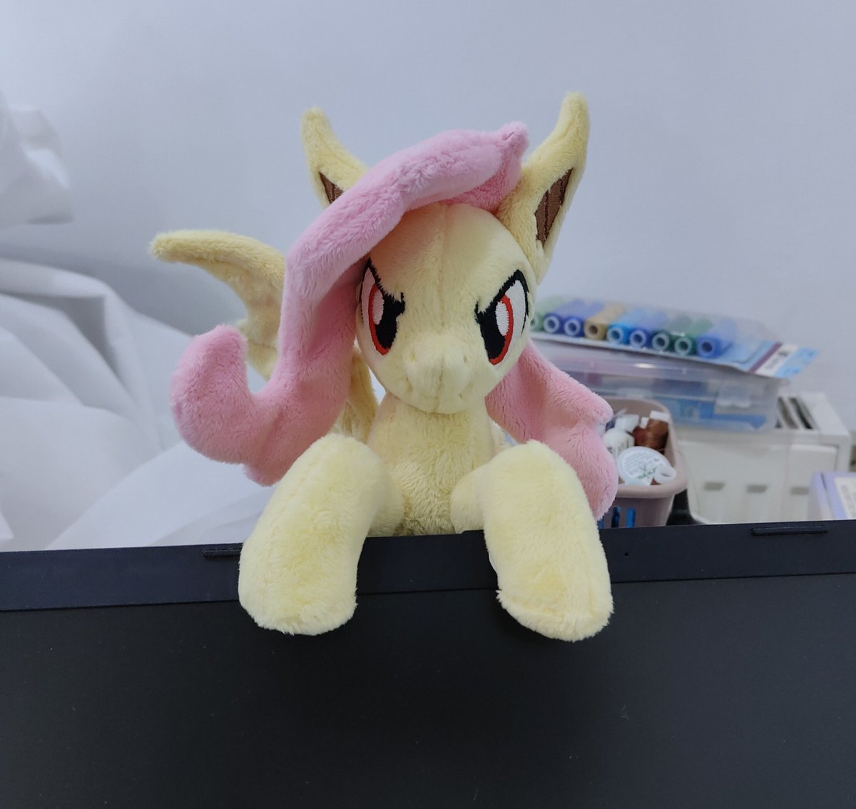 _LanaCraft's tweet image. I don’t always have plushies available for sale, but when I do, they’re listed in my little shop here:
lanaplush.com/product-catego…
🦇🦇
#flutterbat #plush