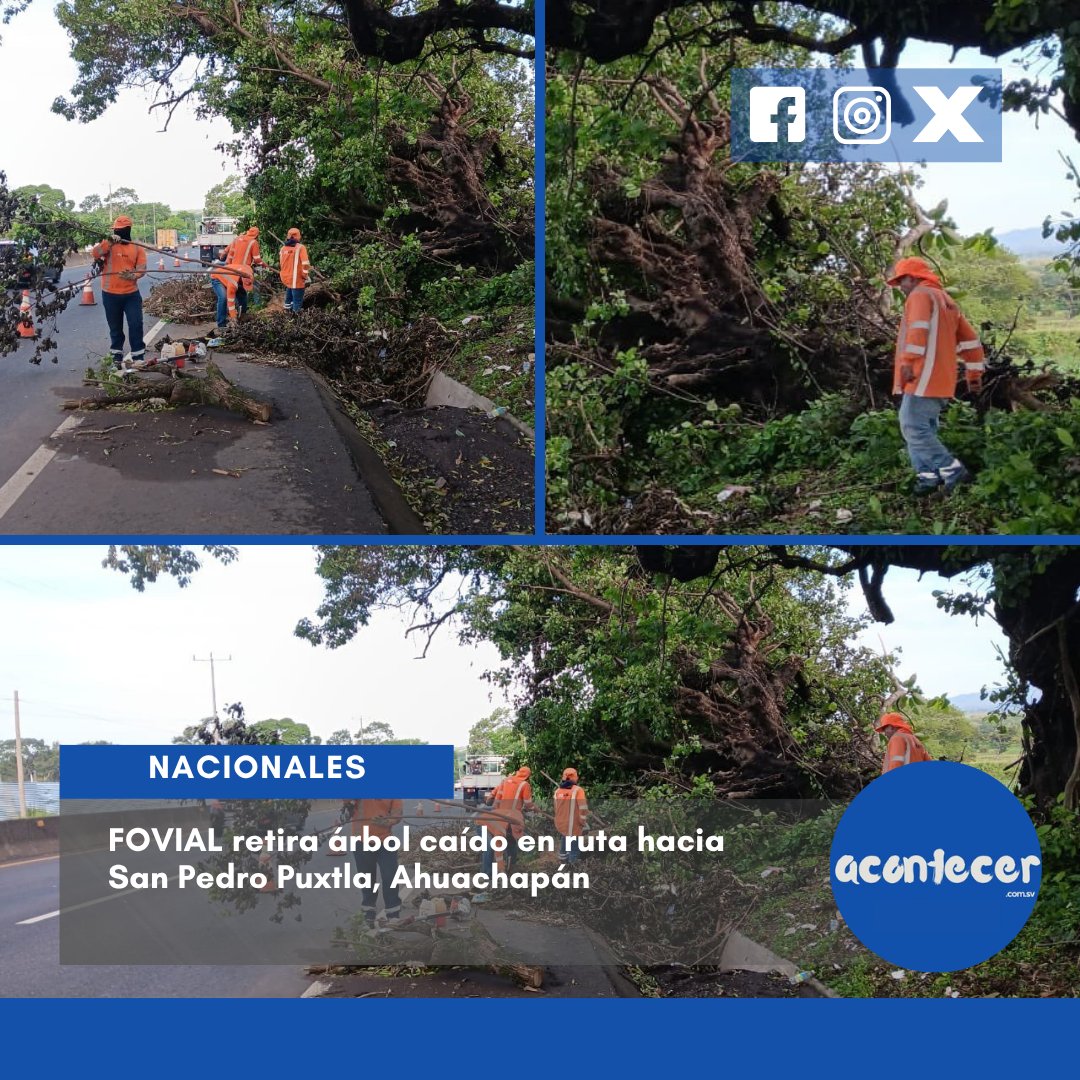 acontecercomsv's tweet photo. #Ahuachapán El Fondo de Conservación Vial (@FOVIALITO ) actuó rápidamente para retirar un árbol que obstruía la vía hacia San Pedro Puxtla, municipio del departamento de Ahuachapán, tras caer por causas aún no especificadas. 🌳🚧🚚📍
#FOVIAL #Ahuachapán #SanPedroPuxtla
DM 📝 https://t.co/bl6OvIlfJ8