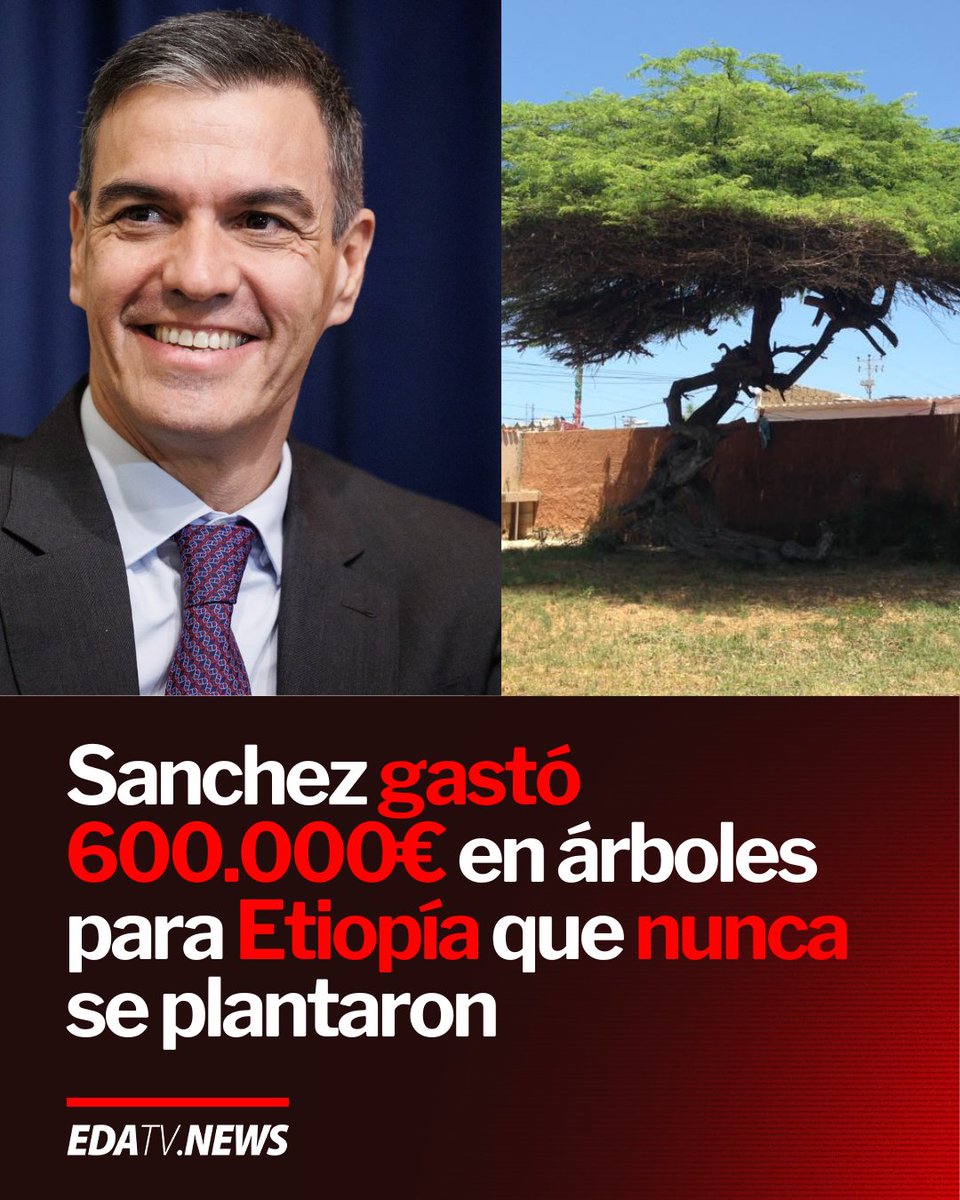 ‼️🇪🇸🌍 | El Gobierno gastó casi 600.000 euros en plantar Cují en Etiopía y tras un año no hay ni un árbol.