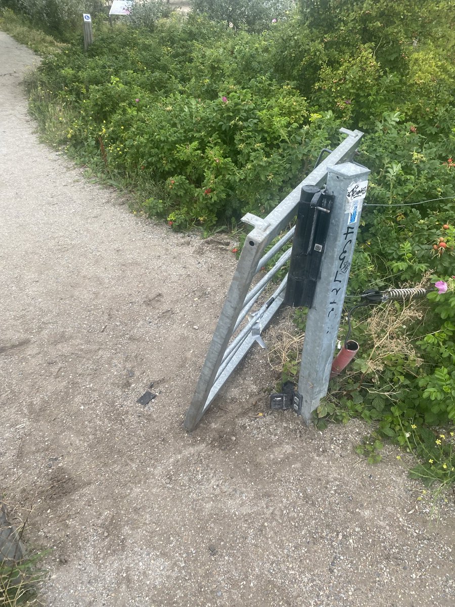 ⁦<a href="/GemeenteDenHaag/">Gemeente Den Haag</a>⁩ Hek kapot duinen boven het pad eindpunt tram lijn 12 #Duindorp 🐃🐂