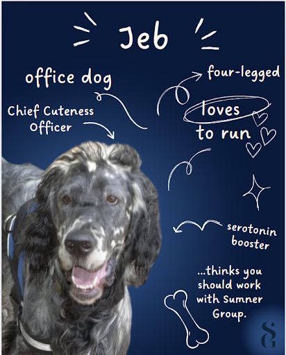 Meet the real boss around here — Jeb, our Chief Cuteness Officer! 💼✨
He keeps the vibes high, the tail wags constant, and the serotonin levels boosted. 🐾
Swipe to get to know the hardest working (and fastest running) member of the Sumner Group team! 💙